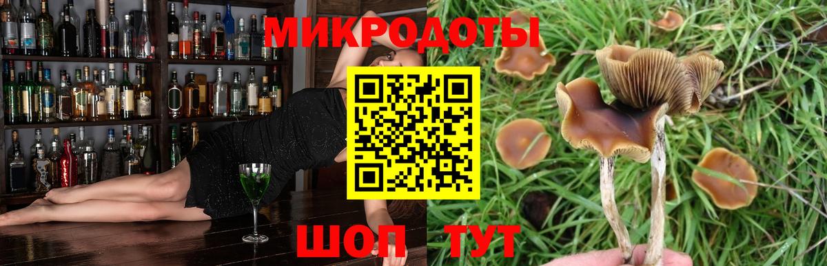 Псилоцибиновые грибы Magic Shrooms Родники
