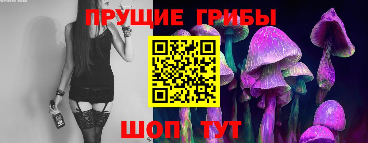 Псилоцибиновые грибы MAGIC MUSHROOMS  Вход с VPN  Родники 