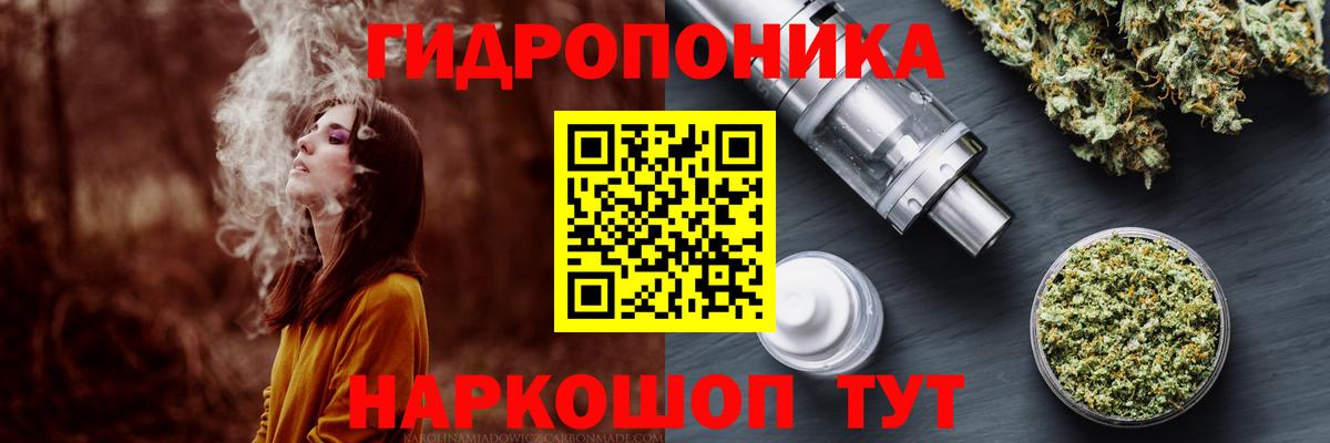 Каннабис сатива Родники